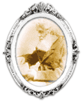 Ashe, Edward David