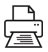 Print Icon